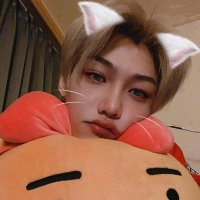 LOVABLE FELIX❤️ᩚ (@lovablefelix915) 's Twitter Profile
