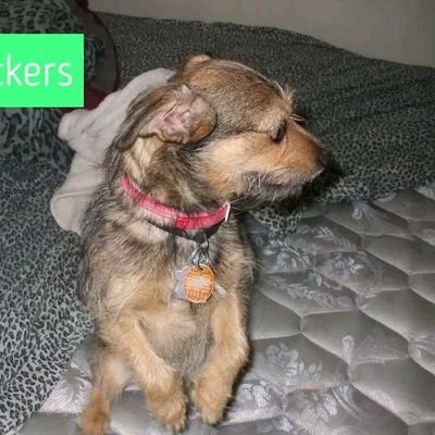 Rachel902163823's profile picture.