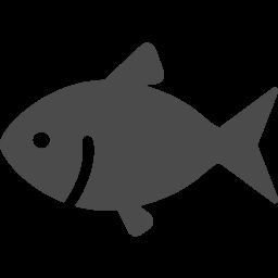 アウラ🐟さんのプロフィール画像