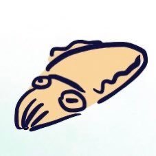 ぐるりぐら🦑‎(*´﹀`*)( -᷅ ·̫ -᷄ )さんのプロフィール画像