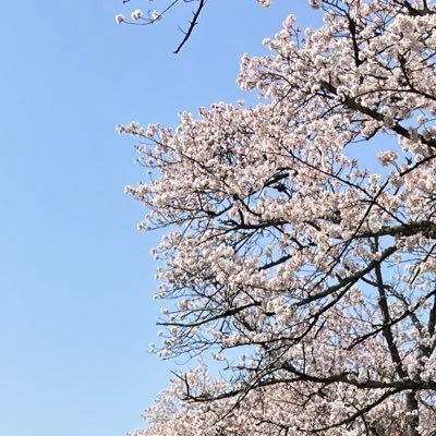 ののの🍫🍄🍚さんのプロフィール画像