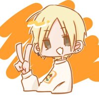 芝✌️バーミーズ(@shibaryon) 's Twitter Profile Photo