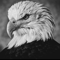 オにソース (@onisauce_aksya) Twitter profile photo