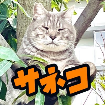 Kanata(夏凪夛)さんのプロフィール画像
