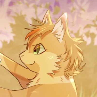 肴さんのプロフィール画像