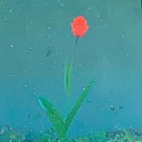 桜すずこ (@suzuko_v_yu) 's Twitter Profile