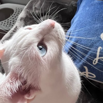 のんさんのプロフィール画像