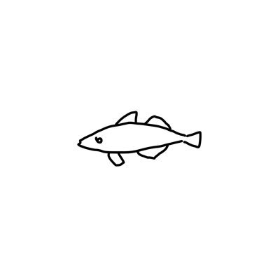 魚憎さんのプロフィール画像