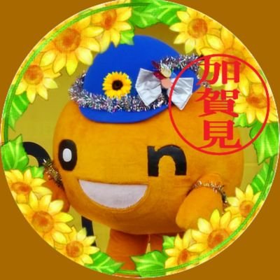 🌻🐞たまむっしゅ🐞🌻さんのプロフィール画像