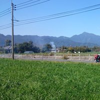 レイ(鹿県産🥕🍚🐓🔯) (@ow3aeyfttctygz8) 's Twitter Profile
