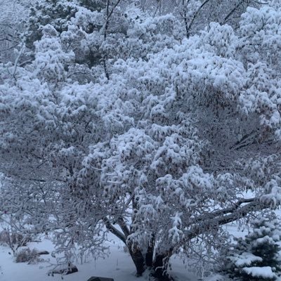 Revival58437322's profile picture. If you can’t say anything nice, you might as well just say it.