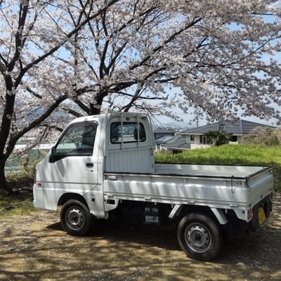 wLWkZAUxsLx6VO4's profile picture. 