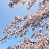 みとん (@mito_pon_life) 's Twitter Profile