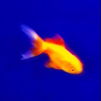 treva (@1203corner) 's Twitter Profile