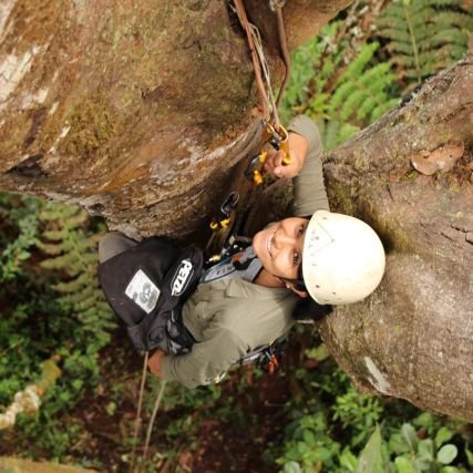 https://t.co/lNFSbBXTwu in biology from Peru 🇵🇪. I'm interested in ecology and evolution of plants, especially ecological networks with epiphytes☘️🌺. Kallpa warmi