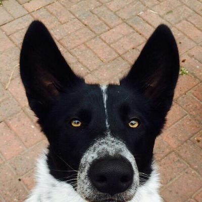 KentrellMi57086's profile picture. 