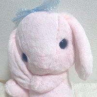 ใใ๐ค้ฃ็ตกใใใใงใใใใใชใ (@oshi_ga_itoshi2) 's Twitter Profile