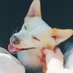 아지랑이 (줄여서 '아지') (@hally722) Twitter profile photo 아지랑이 (줄여서 '아지') (@hally722) Twitter profile photo
