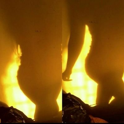 temesi_r's profile picture. Honey, it's never that serious.