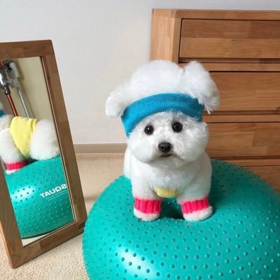 なるせゆえたさんのプロフィール画像