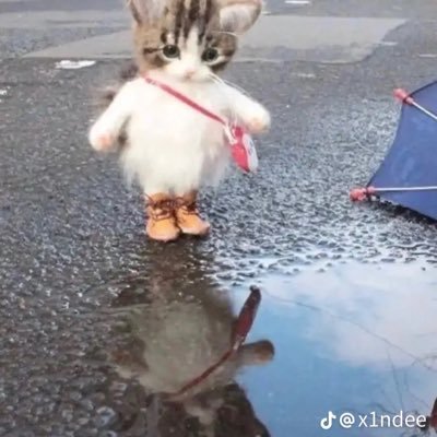 discsさんのプロフィール画像