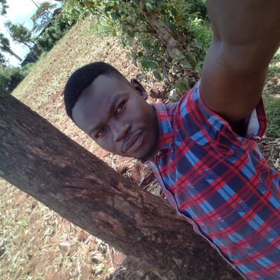 MosesMw80137971's profile picture. Self driven