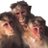 3soong's profile image