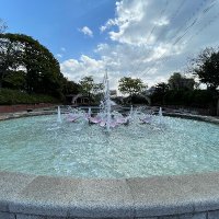 総合レクリエーション公園・新左近川親水公園【公式】 (@sogo_recreation) 's Twitter Profile Photo 総合レクリエーション公園・新左近川親水公園【公式】 (@sogo_recreation) 's Twitter Profile Photo