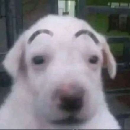 quemedudu's profile picture. 