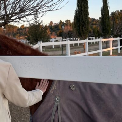 nadarealnada's profile picture. Internet Specialist || #TechCommunity