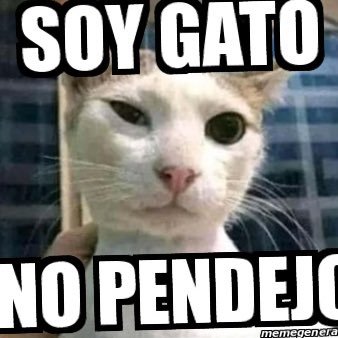 Gato Pardo