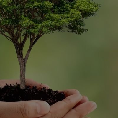 foundation38971's profile picture. سفید پوش لوگوں کی امداد کریں