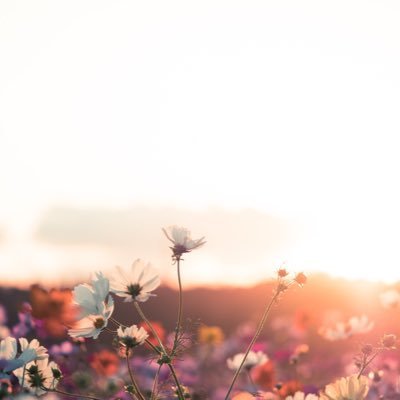 TECHIto46's profile picture. 尊い🫶🏻＿＿ 動画で推しさん浴びれます是非ご覧あれ