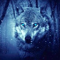alp (@aeozerr) 's Twitter Profile