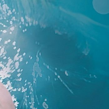 bIuebubbles's profile picture. 평범한 변태가 떠들고 싶은 대로 떠듭니다