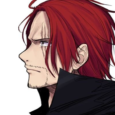 色々描く✏🎨/本誌派ですがアニメも映画も単行本も追ってます/ソシャゲはバウンティ・トレクル・サウスト/キャラは男女や人外問わず推しております! /感想や意見はこちら→https://t.co/dNBIVFBA2N