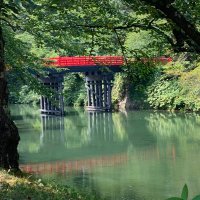 わいてぃ (@ningen_yt) Twitter profile photo