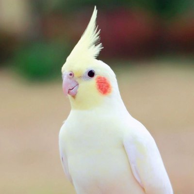 jklkfc's profile picture. 古今多少事，都付笑谈中
https://t.co/Xv0D5WH1rX