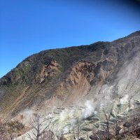 KY (@kyprogram) Twitter profile photo