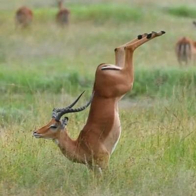 obiinna_ya's profile picture. An astute lover of tech, studio engineer @EventStream_ing - I want to be better. #OBIdient