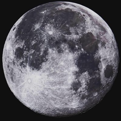 ConnorMollon's profile picture. 