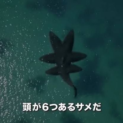 yoyoyo36537's profile picture. 埼玉県民 りんしぐとヒトリエとAoooとRB大宮アルディージャ