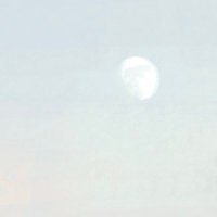 いさ　5/3 東2ア46a (@isanayoruho) 's Twitter Profile Photo