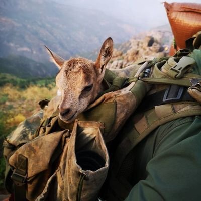 En güzel marşını vurmalı mehter
Ya Allah bismillah AllahüEkber...