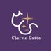 Charme Gatto(シャルムガット) (@charmegatto) Twitter profile photo Charme Gatto(シャルムガット) (@charmegatto) Twitter profile photo