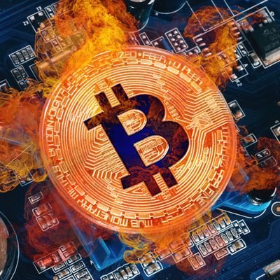 Le President Bitcoin Profile