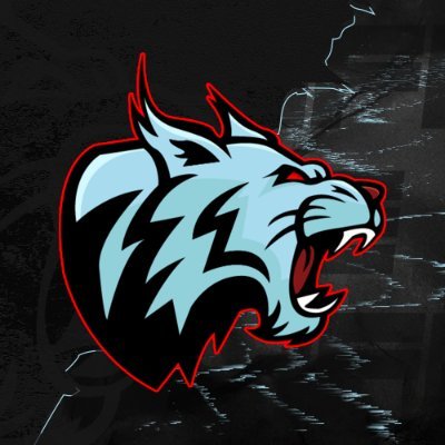 iceforceesports Profile Picture