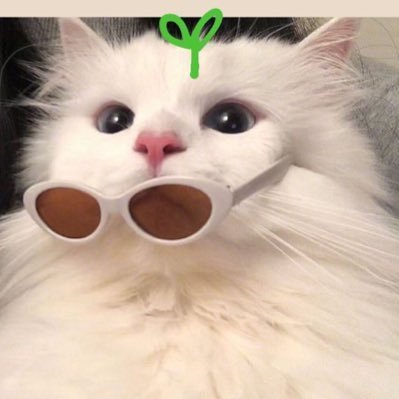 yeonsubiiii's profile image