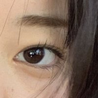4D (@_kiironohana_) 's Twitter Profile