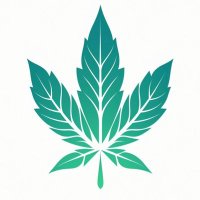FrenchiJuana (@frenchijuana) 's Twitter Profile Photo FrenchiJuana (@frenchijuana) 's Twitter Profile Photo